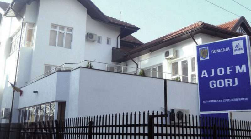 AJOFM Gorj