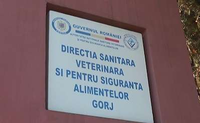 dsvsa Gorj
