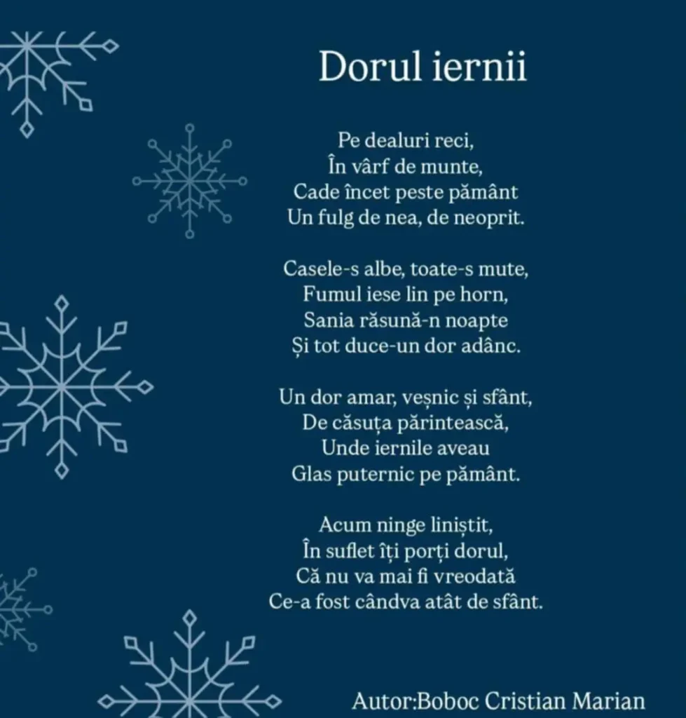 Boboc Cristian Marian 