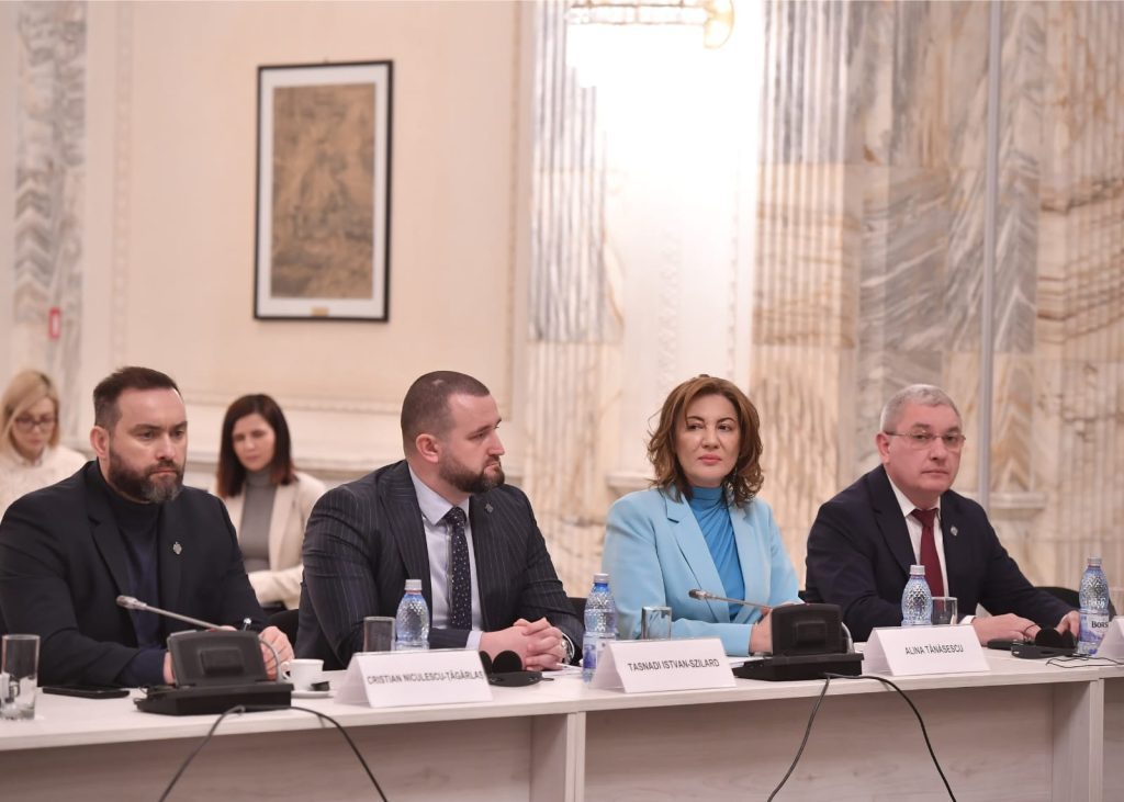 Senatorul Cristinel Rujan